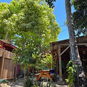 Auberge de jeunesse Banana Maui, Wailuku